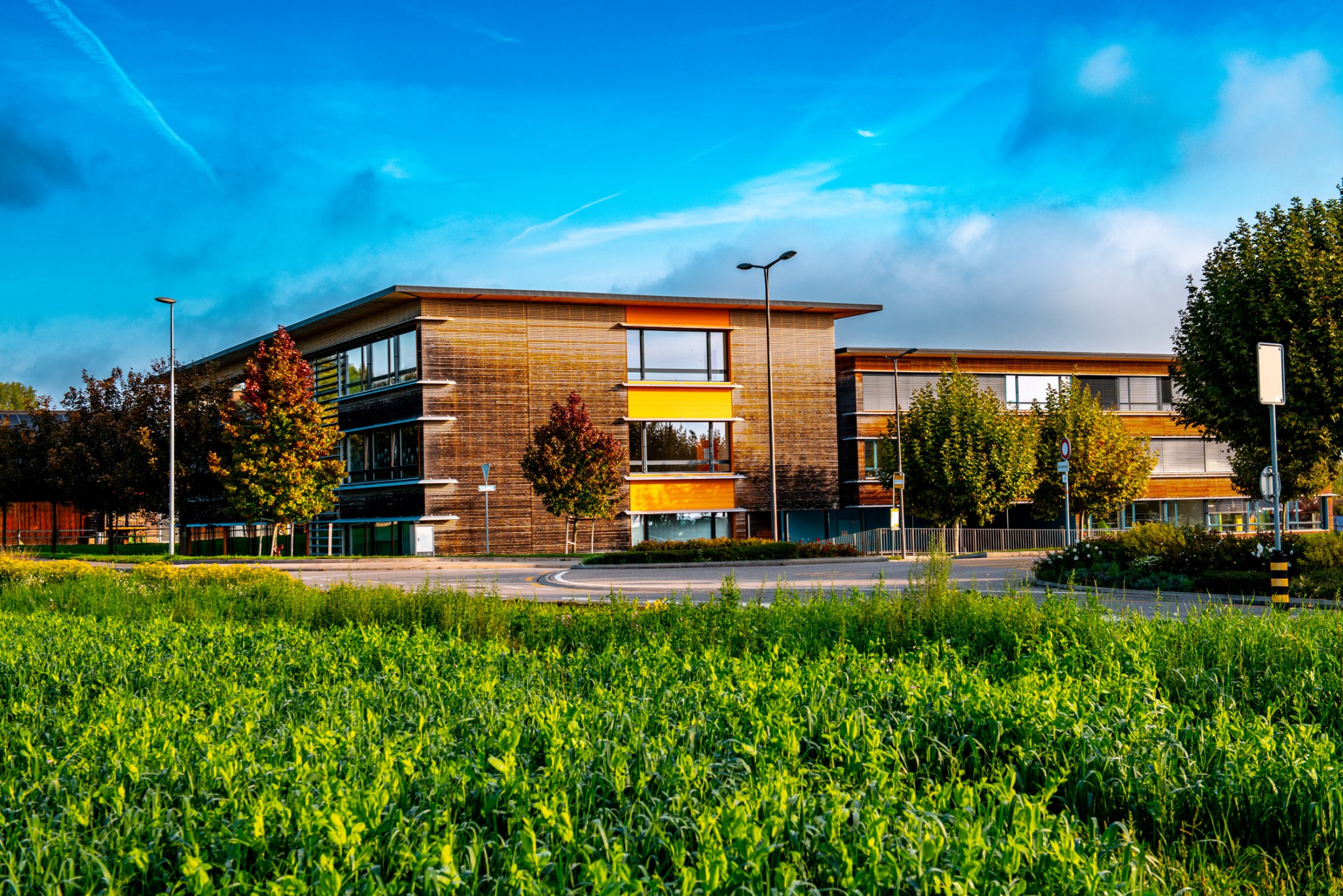 Ecoles 