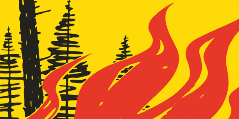 Interdiction de faire du feu