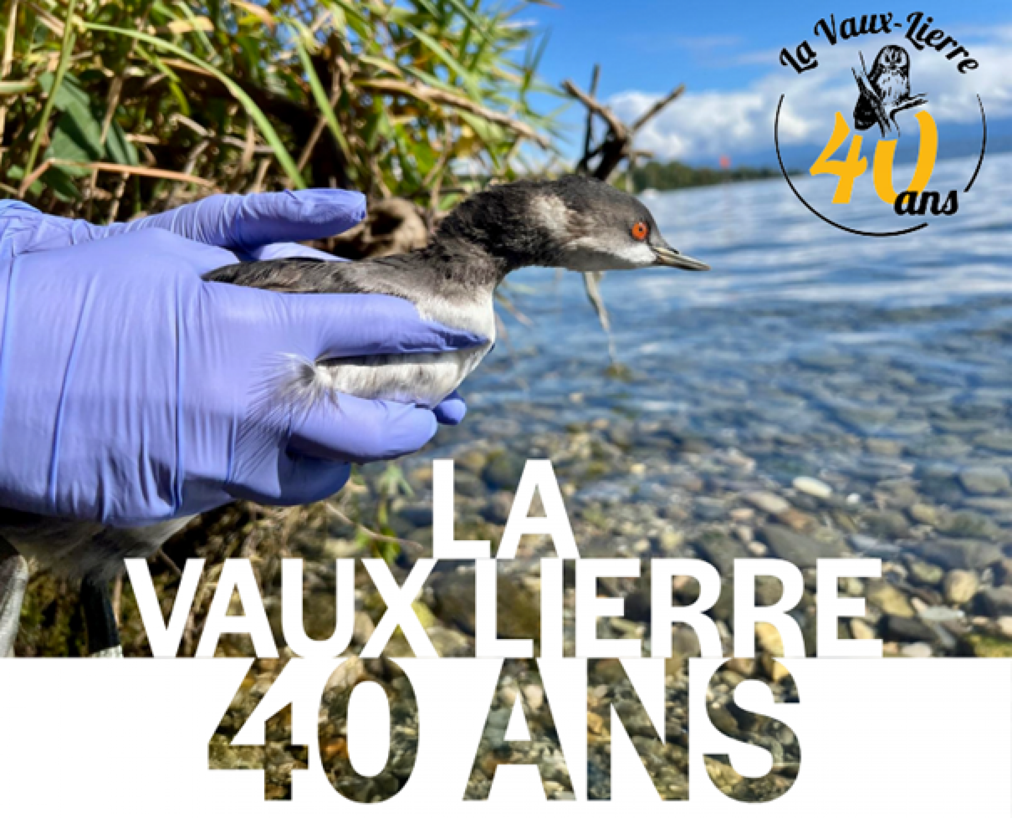 Association de la Vaux-Lierre - 40 ans
